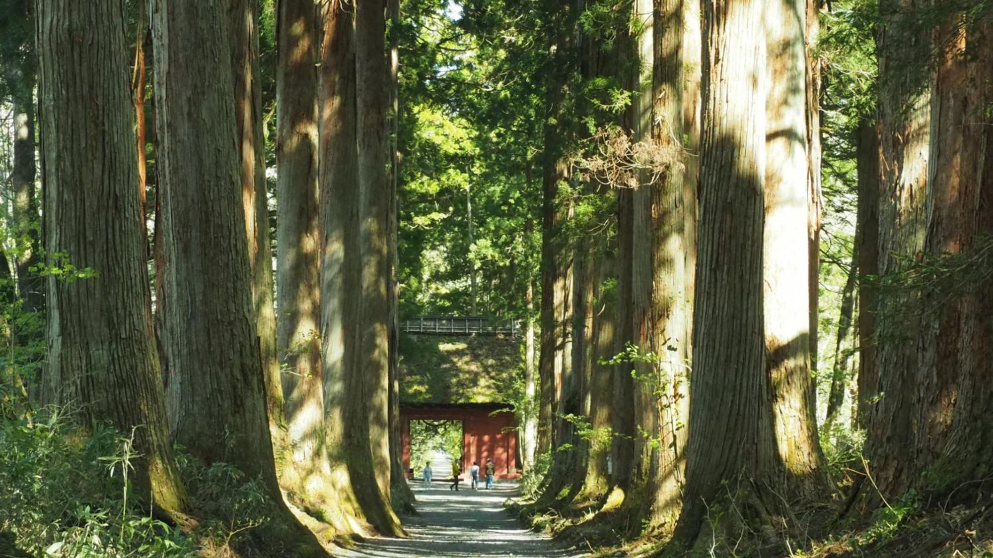 东横inn-长野站善光寺口 外观 照片